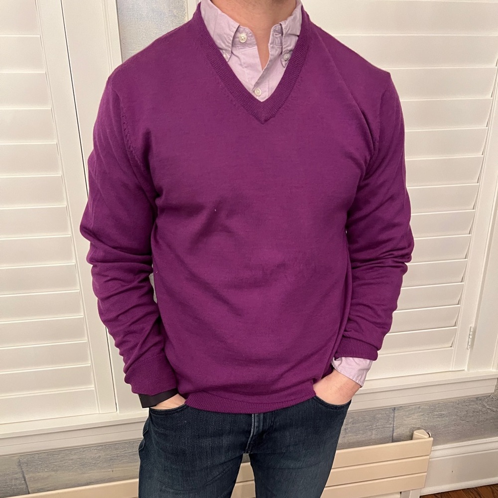 Bonobos Merino Wool Purple V-Neck Sweater